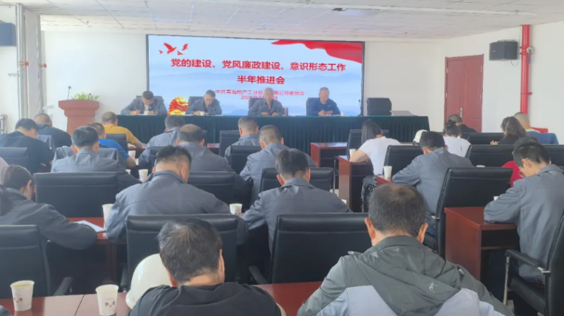 工投公司黨委召開黨的建設(shè)、黨風(fēng)廉政建設(shè)、意識(shí)形態(tài)工作半年推進(jìn)會(huì)